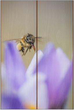 Včela medonosná E - 20x30 - dřevo