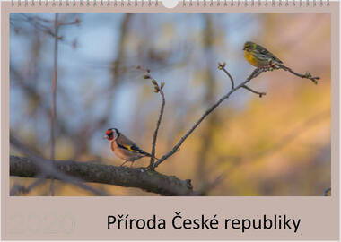 Kalendář A4 Příroda České republiky 2022 D
