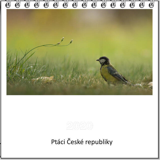 Kalendář stolní Ptáci České republiky 2022 A - 1