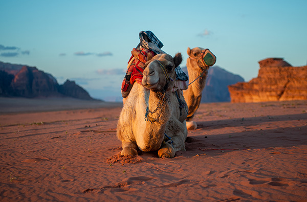 Západ slunce ve Wadi Rum